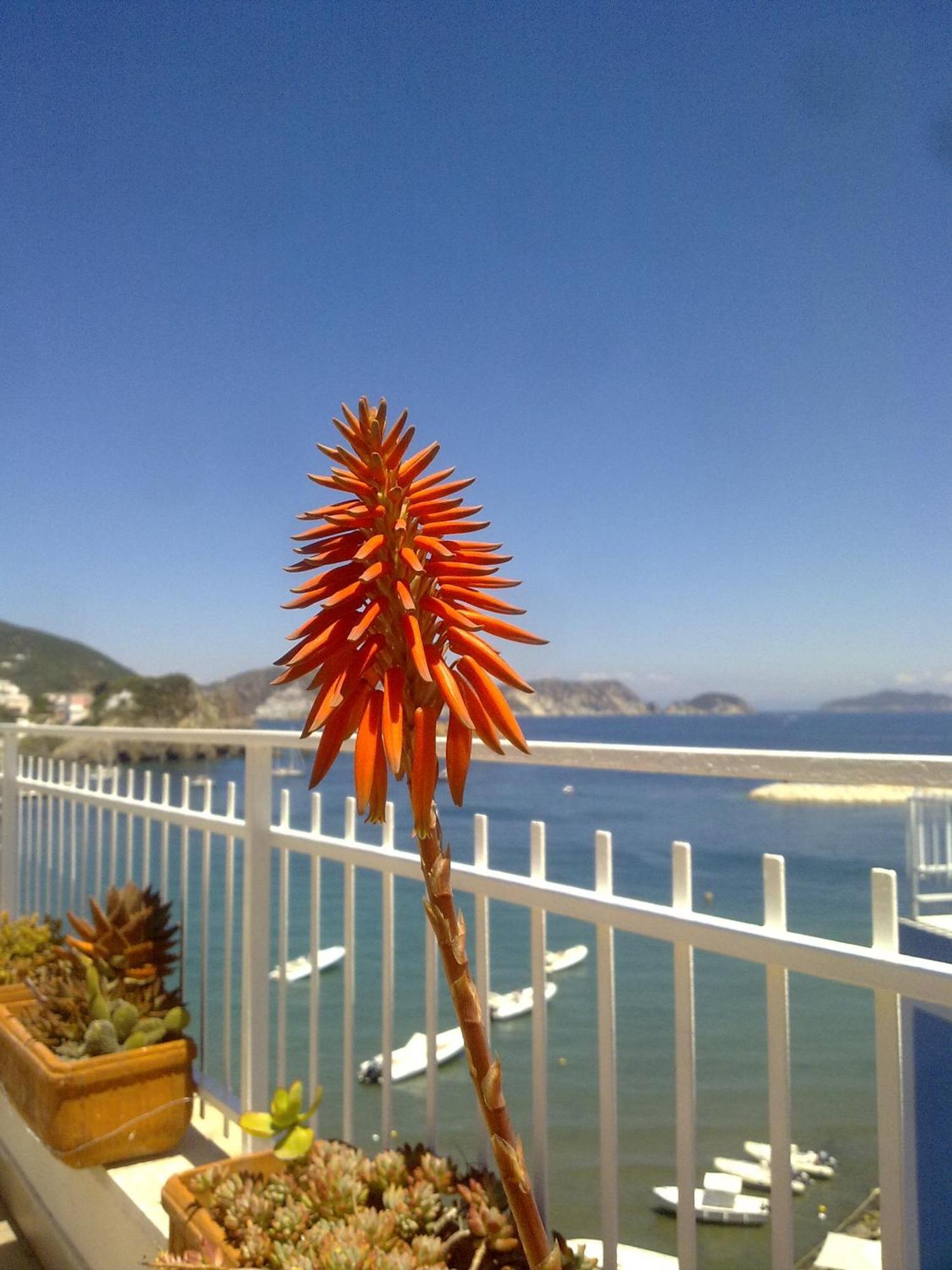 Hotel La Baia Ponza Eksteriør billede